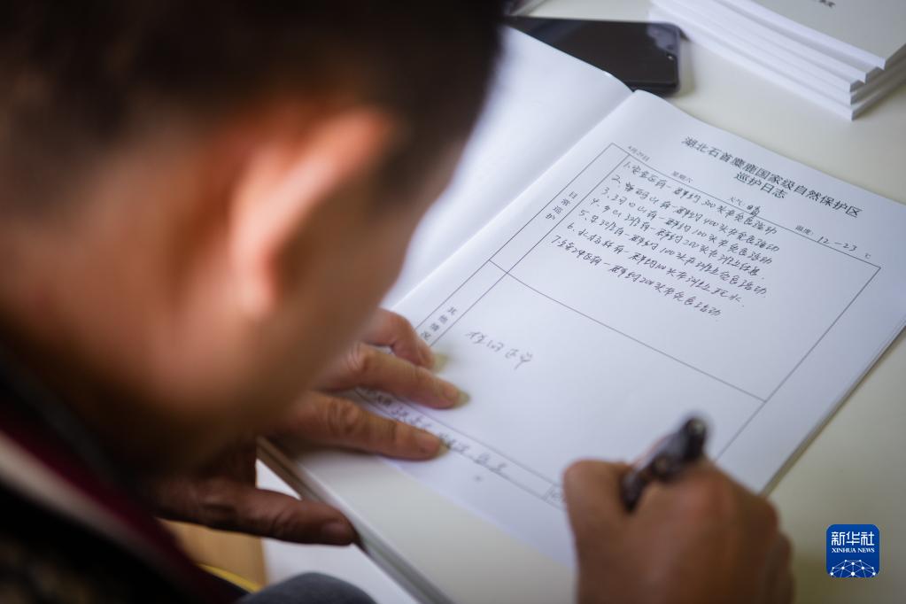 守護一方呦呦鹿鳴：春日的新生
