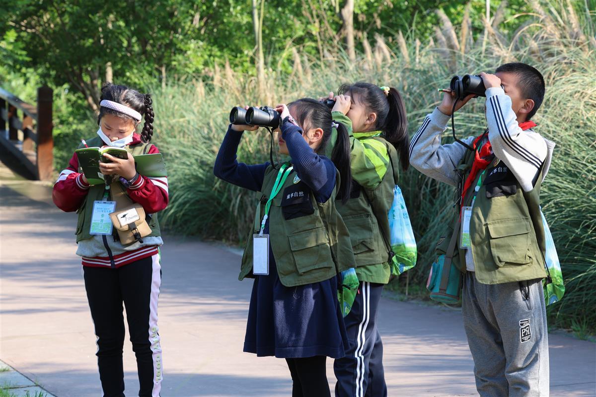 湖北襄陽：濕地觀鳥 親近自然