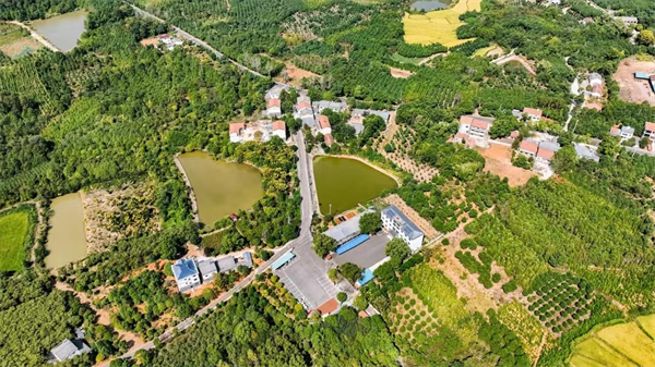 武漢江夏：高峰村 攀高峰_fororder_圖片16