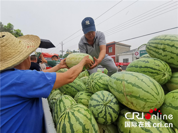 武漢蔡甸挖溝村：“富硒瓜”産銷兩旺 鄉村振興“甜蜜”升級_fororder_圖片1