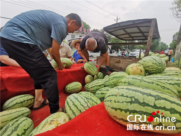 武漢蔡甸挖溝村：“富硒瓜”産銷兩旺 鄉村振興“甜蜜”升級_fororder_圖片5