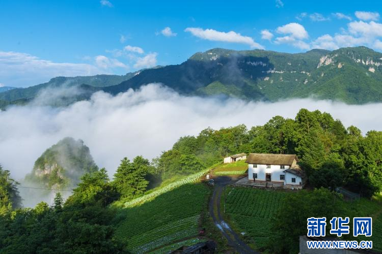 雲霧神農架 仙氣十足