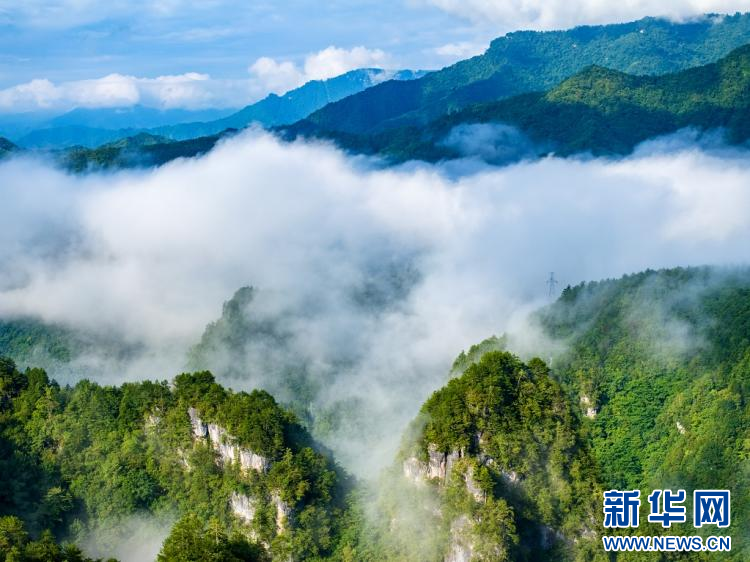 雲霧神農架 仙氣十足