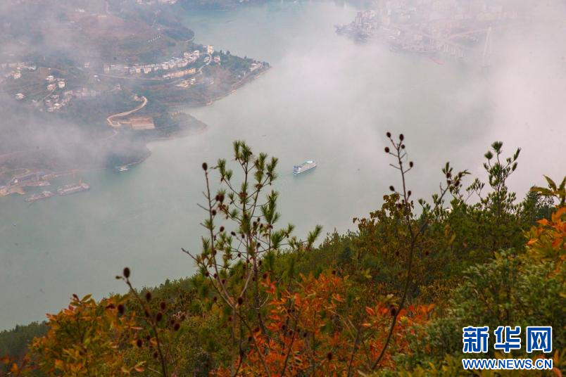 巴東巫峽初冬美 紅葉雲霧漫峽江