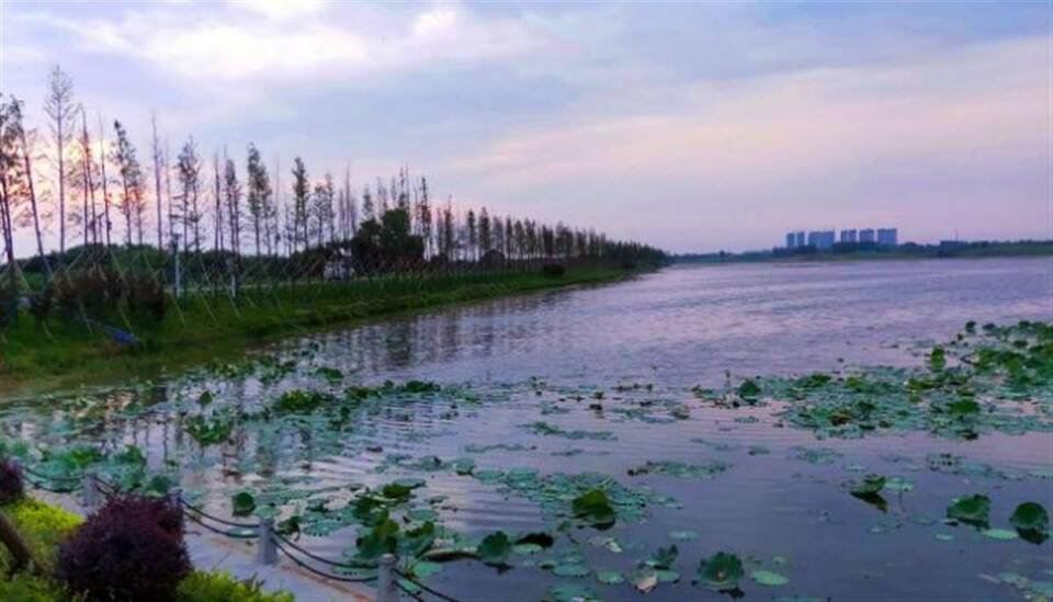 湖北長江三峽試點地區重要生態面積平均提升率達51.7%