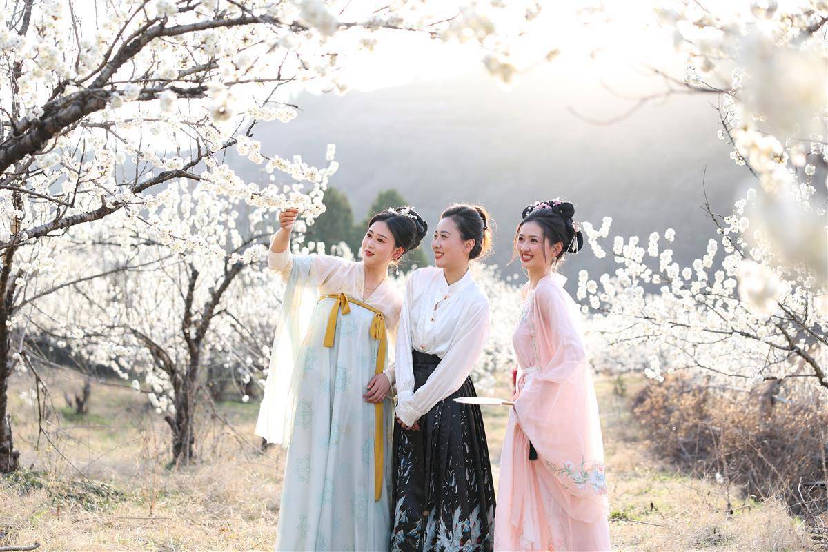 襄陽南漳：櫻桃花開春意濃