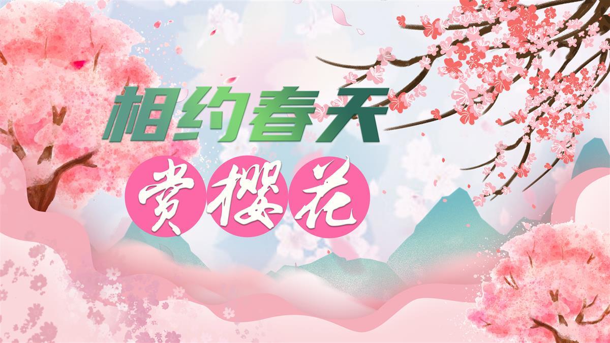 東湖櫻花園3月7日開園 開通三大賞櫻專線