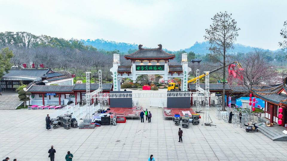 東湖櫻花園3月7日開園 開通三大賞櫻專線