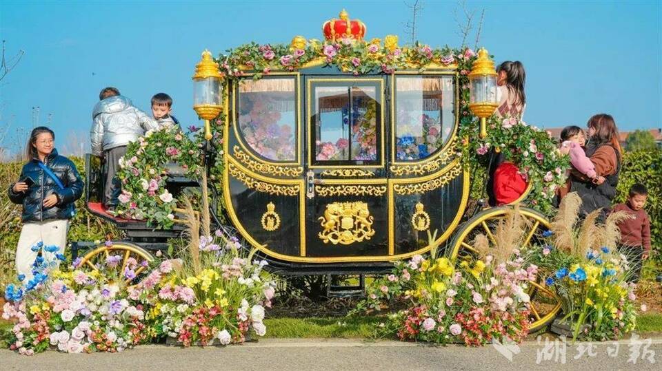 湖北省多景區推出賞花特色活動和惠民舉措