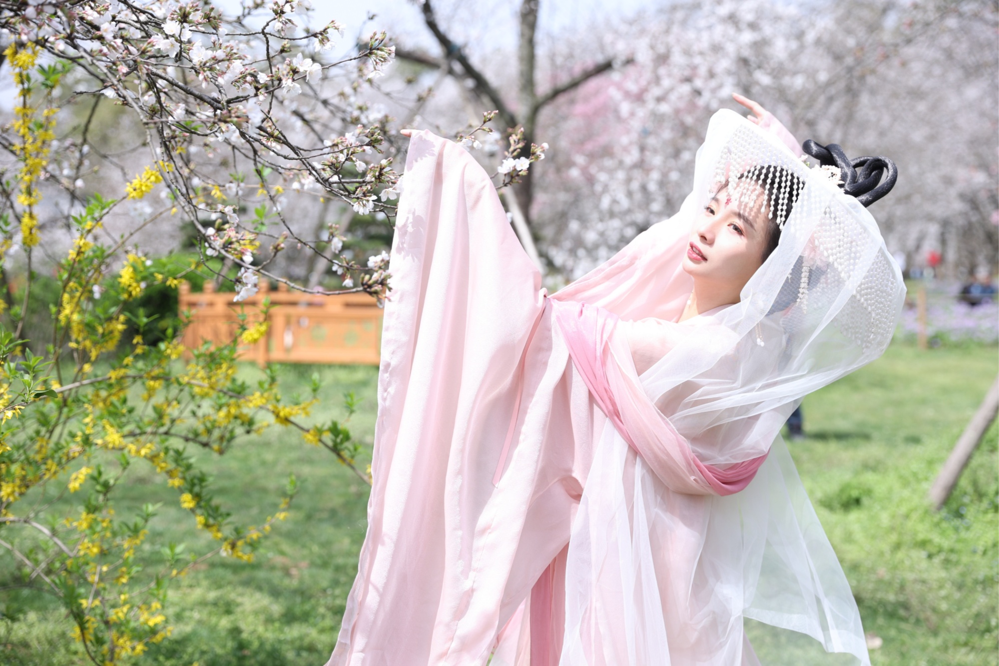 百名網絡大V齊聚武漢共賞江城之美