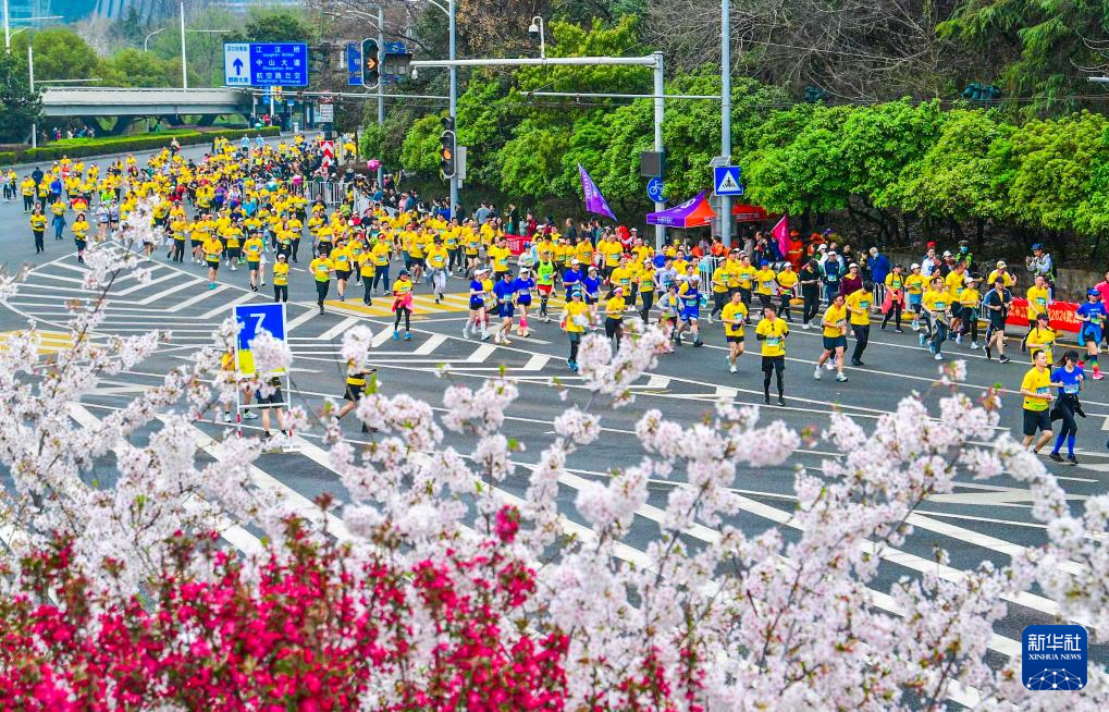 “一枝櫻”火熱一座城——武漢以花為“媒”撬動“春日經濟”