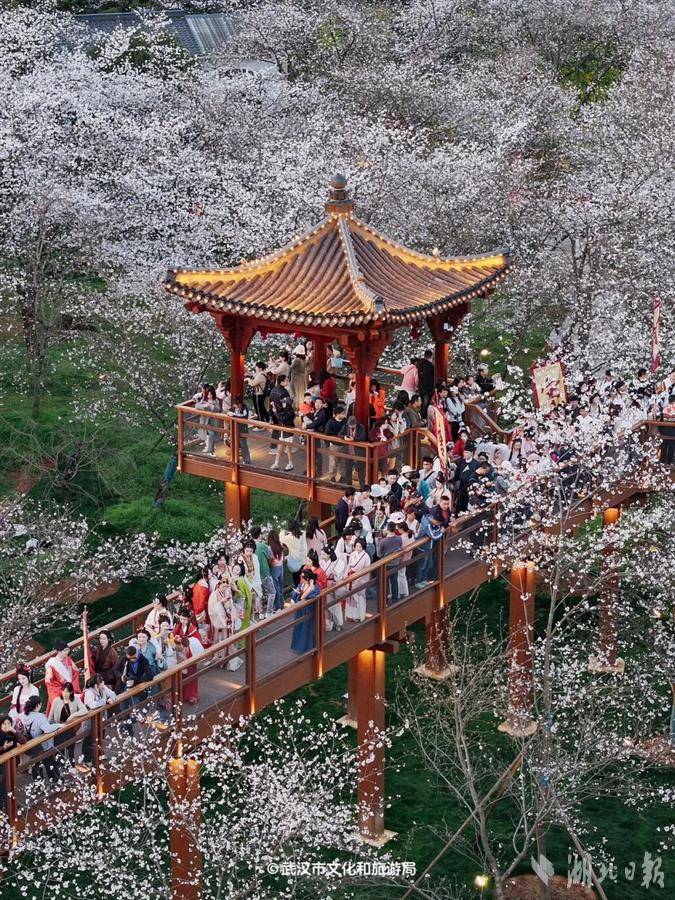從“看景”到“入景” 國風表演沉浸式演繹“櫻花江湖”