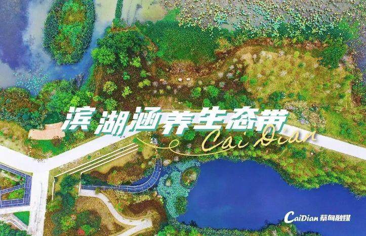曬10年對比照 汪文斌向海外推介武漢這座“城”！