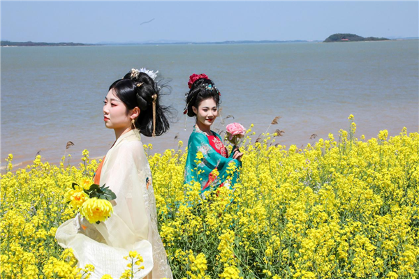 武漢江夏春季賞花推介暨第二屆舒安未來家園花神節啟幕_fororder_圖片3
