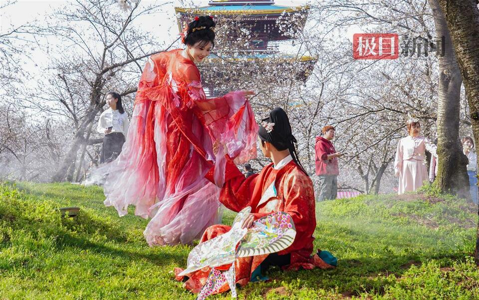 武漢：花動一城春色