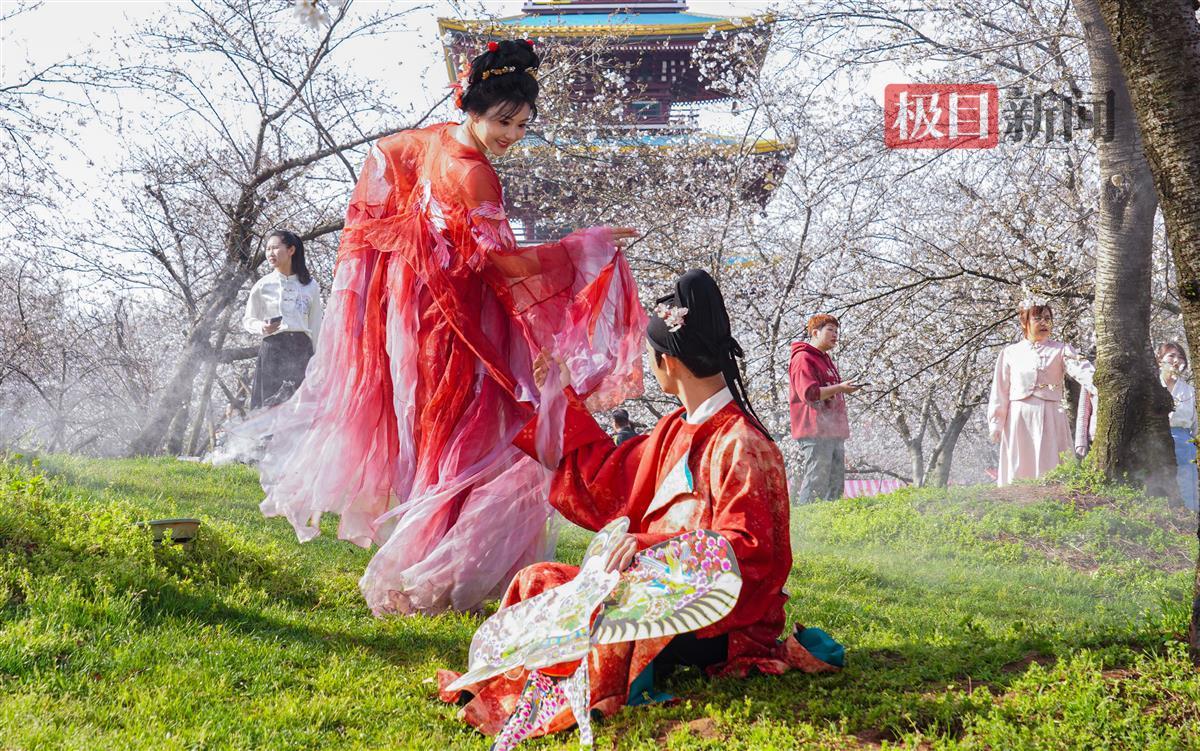 武漢：花動一城春色