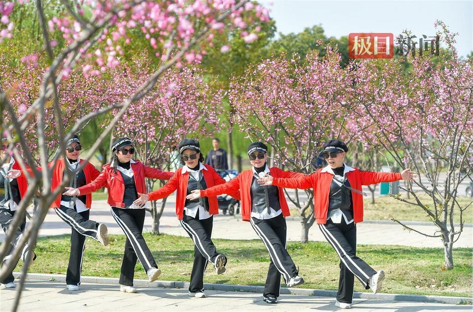 武漢：花動一城春色