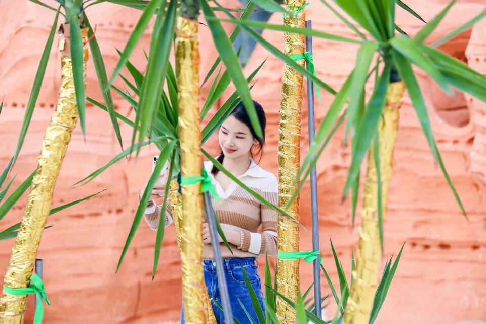 草原裏的沙漠風情！黃陂景區上新“新玩法”