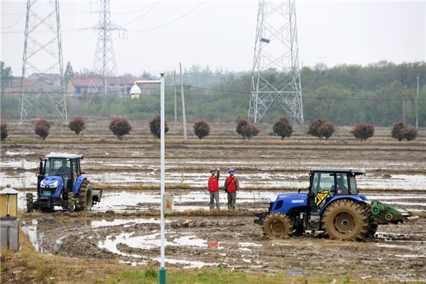 國網武漢供電公司為農業新質生産力保供電 以穩定供電護航智慧春耕_fororder_圖片3