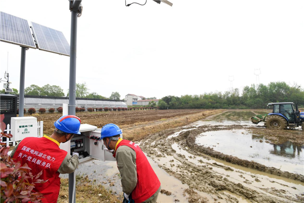 國網武漢供電公司為農業新質生産力保供電 以穩定供電護航智慧春耕_fororder_圖片2