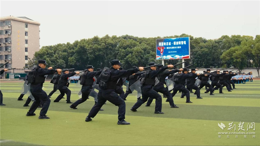 武漢警官職業學院2024年招生宣傳片《青春“圖”什麼》正式發佈_fororder_微信圖片_20240730105419