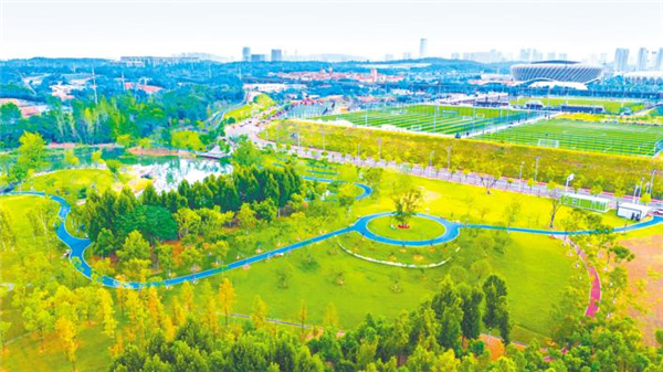 武漢市首發七條城市綠標_fororder_微信圖片_20240819090143