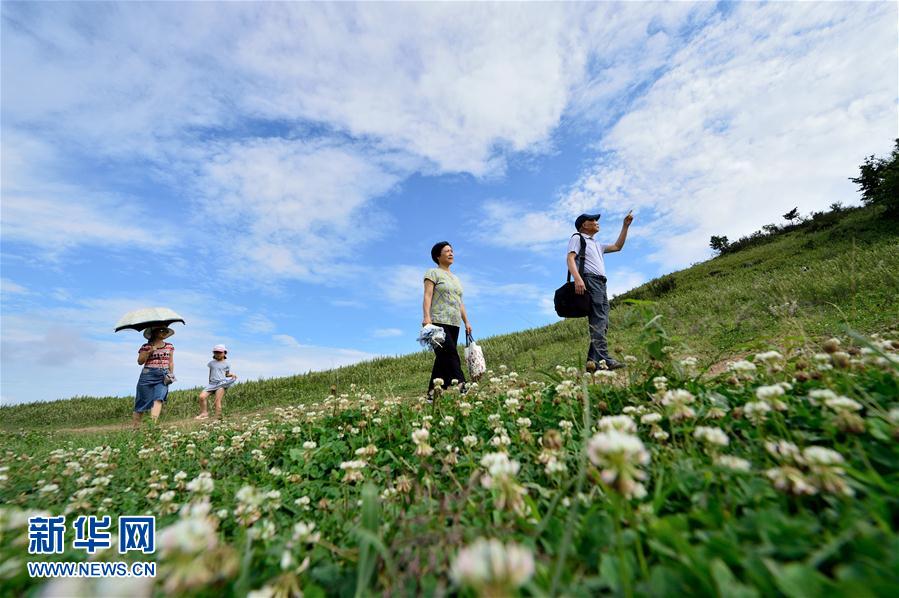 湖北保康：草原風光美