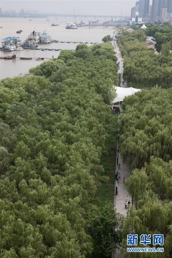 濱江江灘：一道獨特的風景線