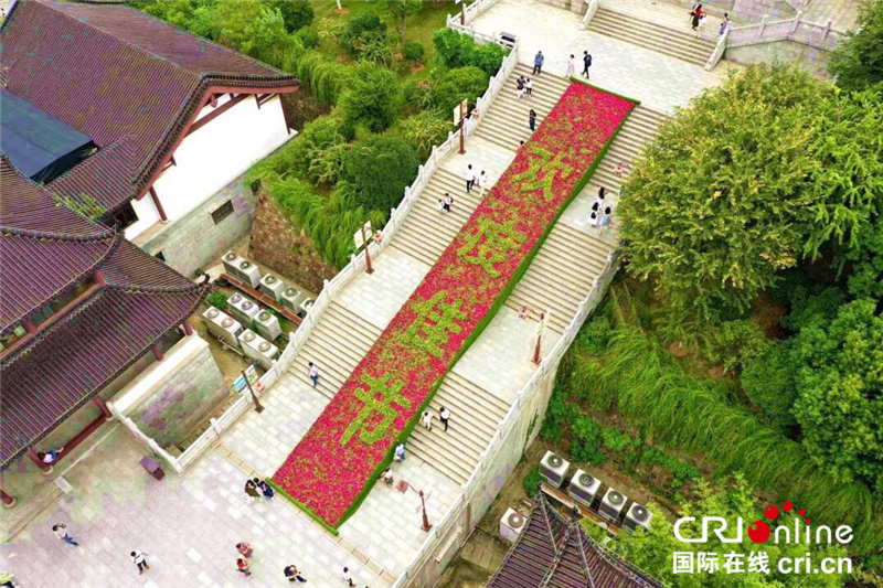 武漢：300余萬盆鮮花慶國慶