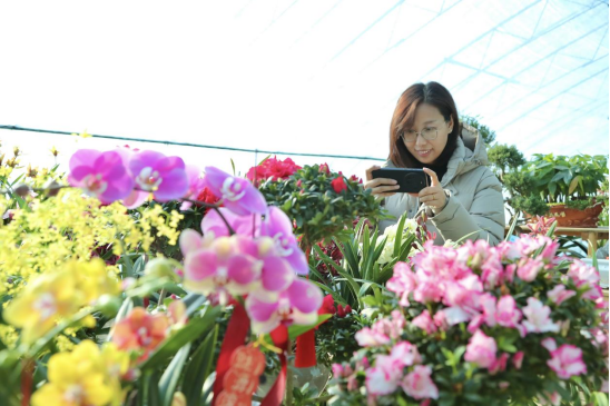 河北東光：新春將至年味濃 鮮花年貨採購忙