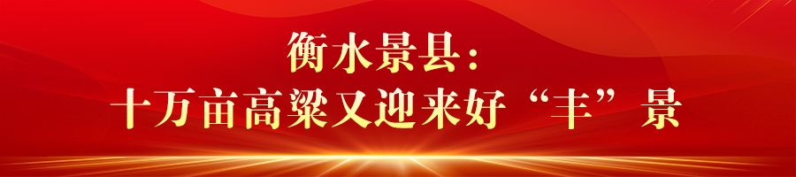 河北：“豐”光無限好 農業強“芯”促增産