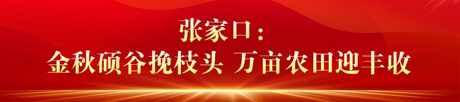 河北：“豐”光無限好 農業強“芯”促增産