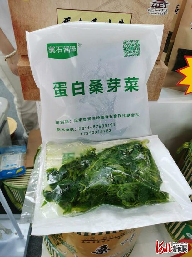 正博會：片片桑葉“撬動”整條産業鏈