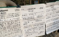 圖片默認標題