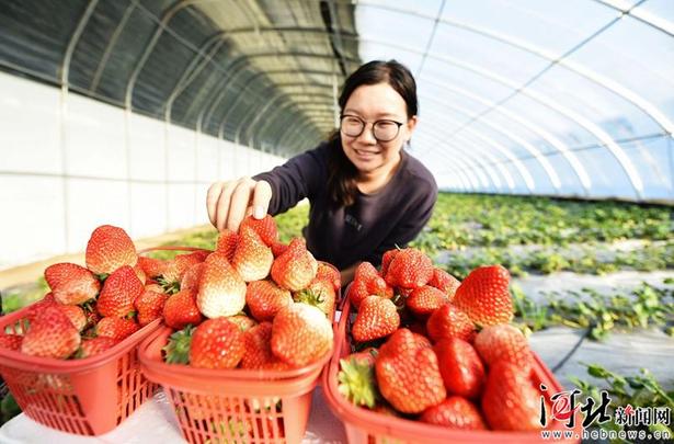 定州打造特色高效、生態觀光農業