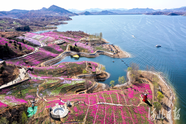 河北遷西：假日漫步雨花谷