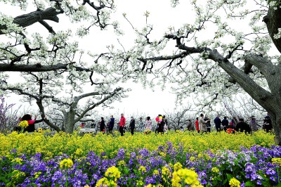 農旅融合助力鄉村振興