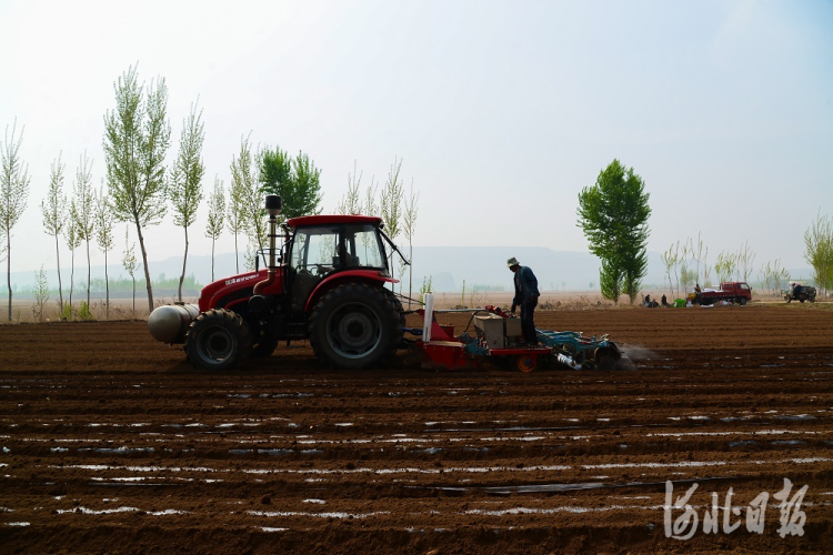 唐山遷西：調整産業結構 特色農業種植面積達3.9萬畝