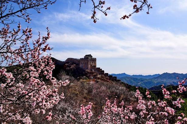 河北承德：“雲上金山嶺”喜迎四方迎客