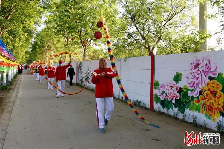 河北肅寧西泊莊村：牡丹花開迎客來