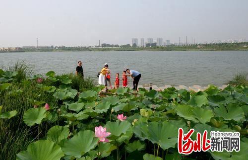 加強尾水資源化利用 河北“一點一滴”打造“節水之城”