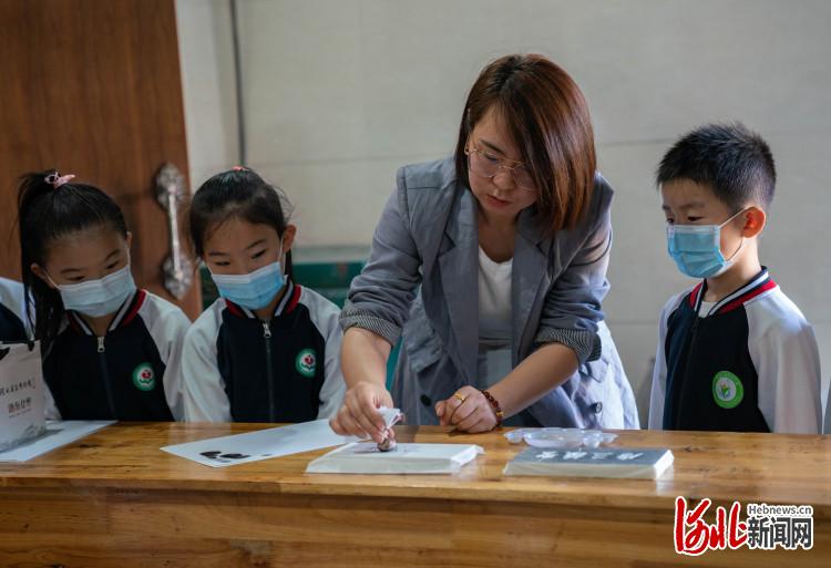 河北：博物館裏收穫多