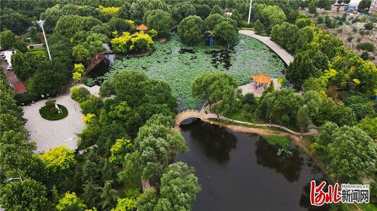 河北邢台南和區：廢棄坑塘變身調蓄功能生態公園