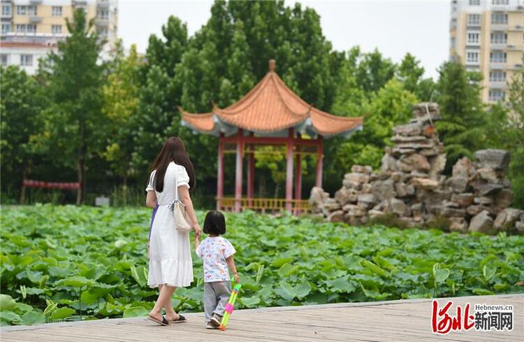 河北邢台南和區：廢棄坑塘變身調蓄功能生態公園