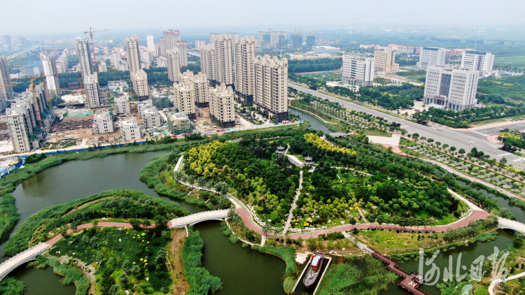 河北海興：廢棄坑塘變身生態公園