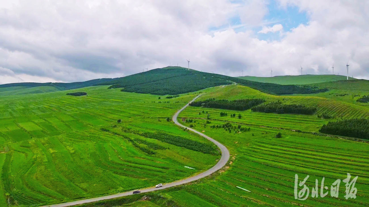 河北張家口：草原天路景美如畫