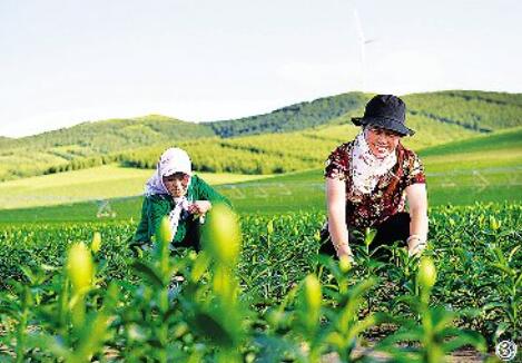 守住“生態美” 換來“百姓富”