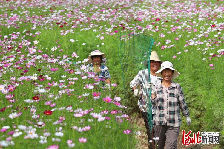 河北張家口：“農旅”融合繪就美麗畫卷