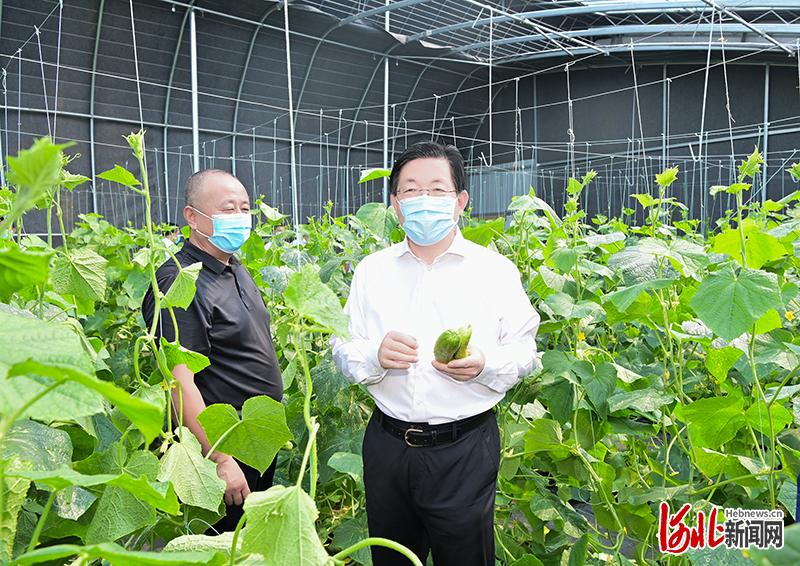 河北省委書記、省人大常委會主任王東峰在石家莊市平山縣北莊村調研檢查