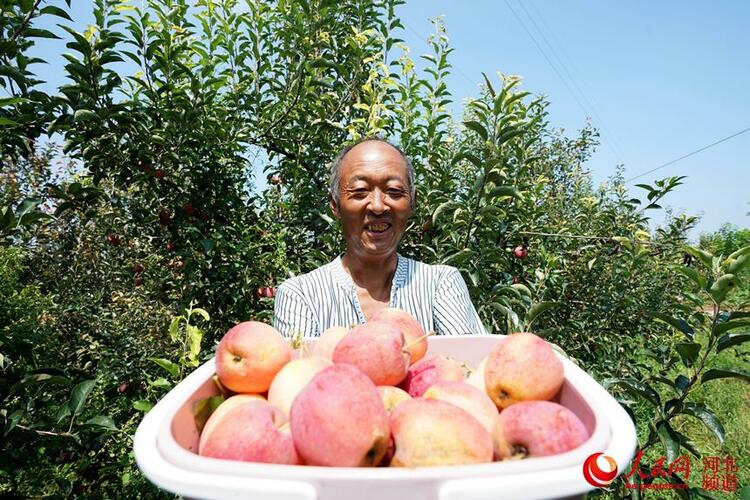 河北巨鹿：特色種植助農增收